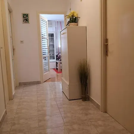 Azzuro Albero * سبليت
